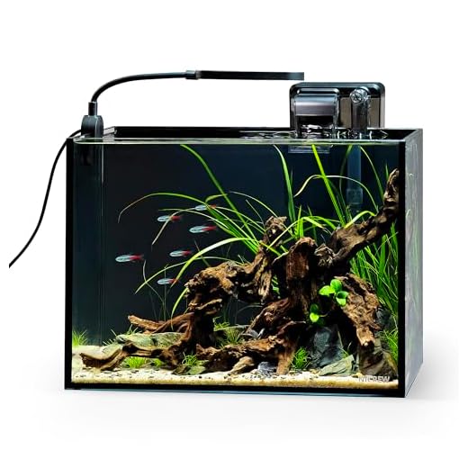 NICREW 2.5 Gallon Desktop Aquarium