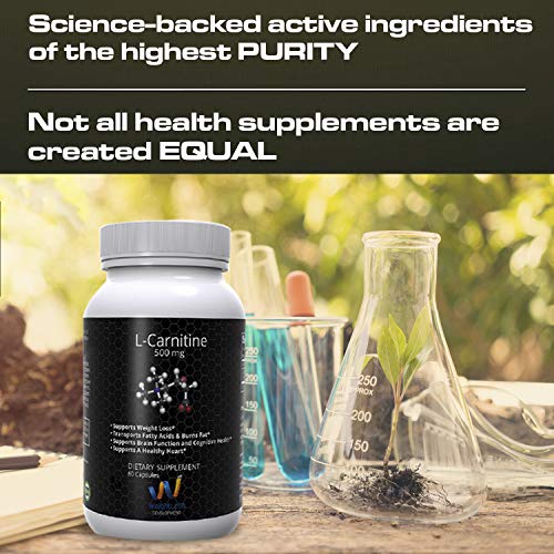 L CARNITINE Powder Tartrate Supplements 500 mg for Weight Loss Management - Non GMO Diet Pills with Amino Acid - 60 Capsules