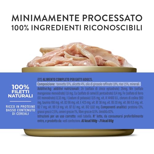 Schesir, Thunfisch mit Alicette in Brühe, komplettes Nassfutter für Katzen, in Dose, mit zusätzlichen Vitaminen, 100% natürlich, 6 x 85 g