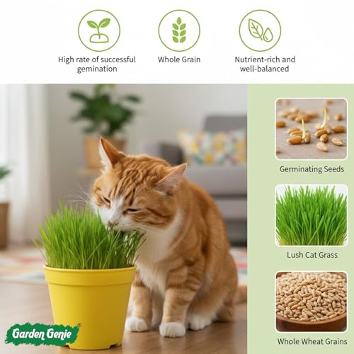 Image of Garden Genie Cat Grass Seeds DIY Growing Kit for Pets, Set of 1