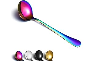 Berglander Rainbow Soup Spoon of 4