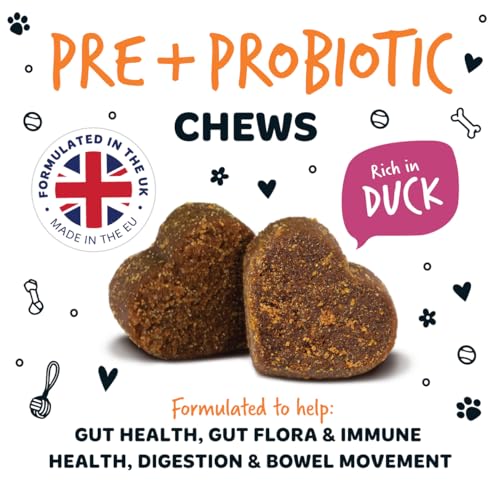Bugalugs Probiotics for Dogs Natural Dog Treats with Pumpkin Powder - Probiotics For Gut Health, Sensitive Tums, Anal Gland, Scooting, Loose Stools, Smelly Itchy Ears Dog Probiotic - Image 6