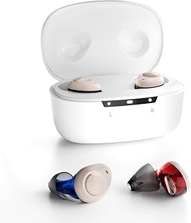 Ceretone Hearing Aids for Seniors Rechargeable, Torch CIC Hearing Aids with Advanced Wind Noise Management Premium Sound Quality, Auto Turn On&Off (Not Amplifiers), Noise Reduction