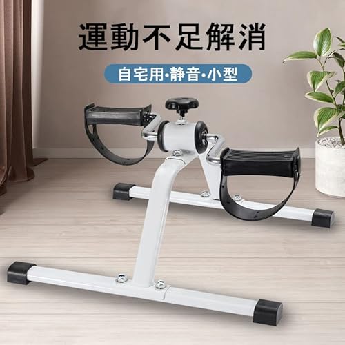 Aculldo フィットネスバイク の商品画像 1