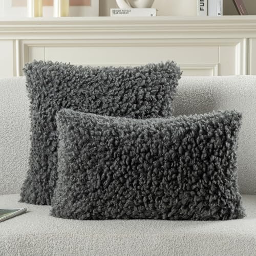 FUTEI Dark Grey Decorative Throw Pillow Covers 24x24 Inch Set of 2,Soft Fluffy Faux Wool Fur Boucle Textured European Cushion Case,Modern Home Decor for Couch Bed Living Room Office