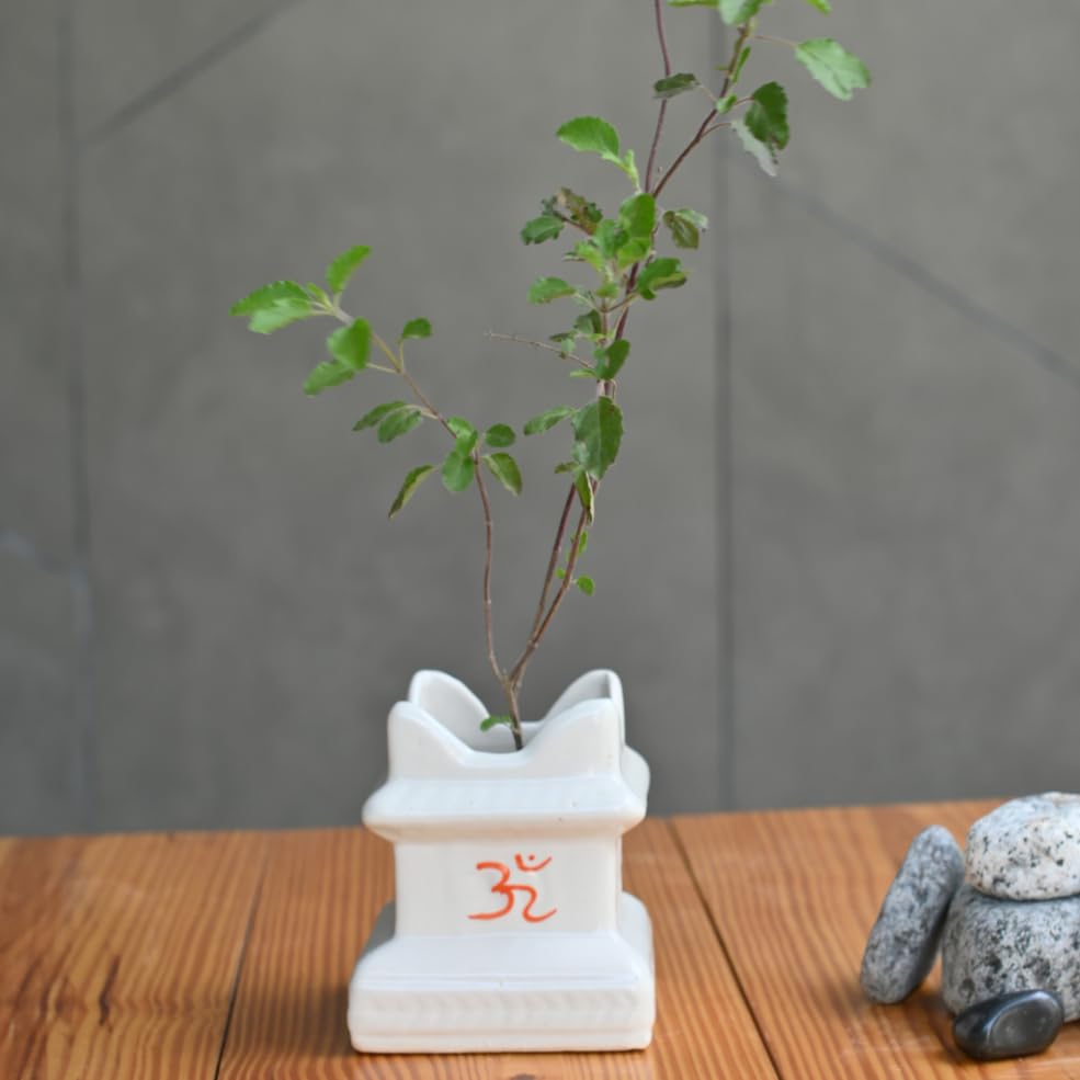 Plantlane Ceramic White Small Tulsi Planter/Pot (B0CQ4GL57S) Amazon Price History, Amazon Price Tracker