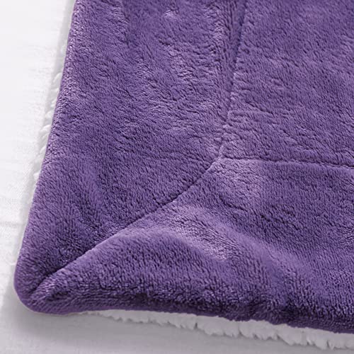 Bedelite Sherpa Fleece Throw Blankets Twin Size- 480Gsm Thick Warm Winter Blankets, Super Soft Fuzzy Fluffy Cozy Blankets For Couch, Bed, Sofa(60" X 80", Purple) #TOP6