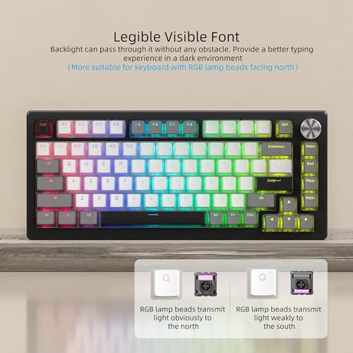 Image of Womier PBT Shine Through Keycaps for Mechanical Keyboard, Pudding Keycaps | Keycaps 60% 75% 100% Keyboard 143 Keys,Custom Keycap Set OEM Profile for Gateron Cherry MX Switches,Gray White-Only Key caps