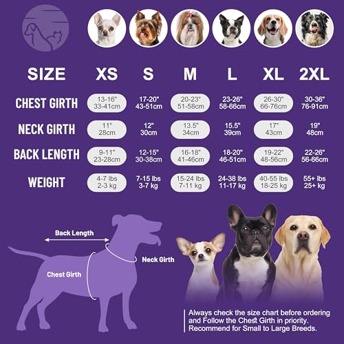 Image of cyeollo Dog Surgery Recovery Suit, Surgical Onesie for Female & Male Dogs | Prevents Licking, Cone Alternative, Ideal After Spay & Neuter, Protects Surgical Wounds, Easy Potty Access, 4-Way Stretch
