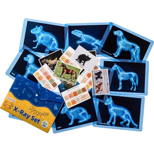 Odoorgames Pet Series Animal Xrays for Kids - Pet X-Rays Set Light Table Manipulatives Veterinarian Play Set & Dramatic Play Vet Clinic
