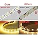 econoLED 12V Flexible SMD 5050 RGB LED Strip Lights, LED Tape, Multi-Colors, 300 LEDs, Non-Waterproof, Light Strips, Color Changing, Pack of 16.4ft/5m Strips