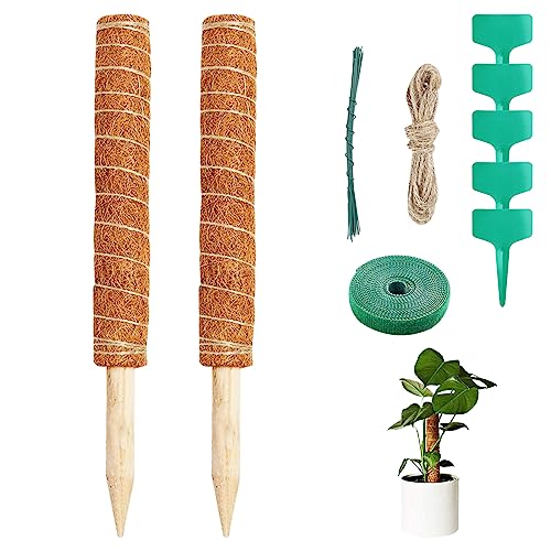 Newpop 2 Piezas Tutores para Plantas Trepadoras 40 cm, Tótem de Fibra de Coco Soporte con 5 Etiquetas, 2M Cuerda de Yute, 1 Rollo Bridas Cables, Palo de Musgo para Enredaderas, Monstera, Jardín