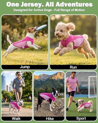 Image of CuteBone Cooling Stretch Sport Dog Tank - Athletic Fan Pet Jersey - Color Block Pet Vest for Small Dogs, Cats