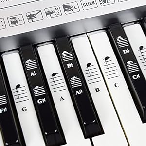 Piano- en keyboard muzieknoten, volledige set stickers voor witte en zwarte toetsen met pianoliedjes, e-book voor…