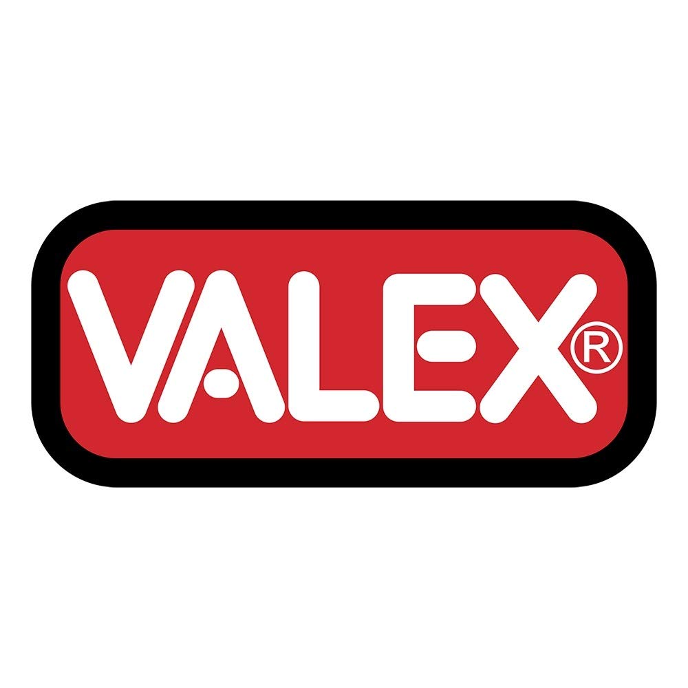 Valex 1352016 térmica P2001, Pistola de Aire Caliente, 2000 W