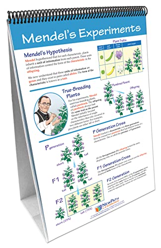 Image of NewPath Learning Genetics: Study of Heredity Laminated, Double-Sided inchWrite-On /Wipe-Off inch Flip Chart - Set of 10, 12 inch x 18 inch Charts (34-6728)