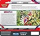 Pokémon-Sammelkartenspiel: 3er-Pack Karmesin & Purpur - Arkani (3 Boosterpacks & 1 holografische Promokarte)