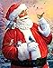 Kit de pintura de diamante 5D para adultos y niños, impresionante Papá Noel y pájaros, taladro completo DIY Diamond Art Crystal Rhinestone Paint by Diamonds Cross Stitch (Santa Claus)