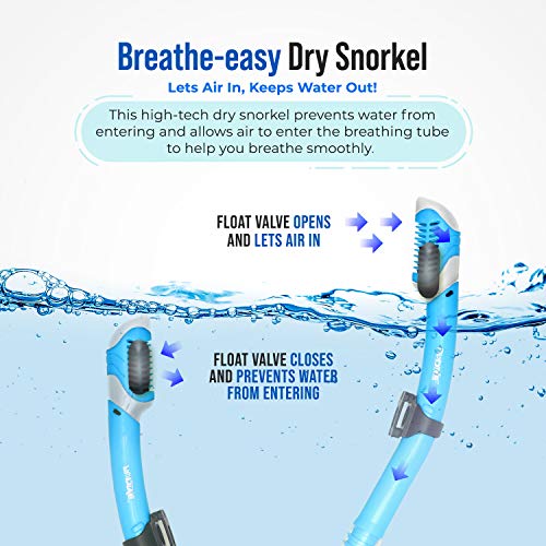 Prodive Premium Dry Top Snorkel Set For Adults - Tempered Glass Diving Mask, Anti-Fog Lens For Best Vision, Easy Adjustable Strap, Waterproof Snorkel Bag Included - Snorkeling Gear For Adults (Aqua) #TOP4