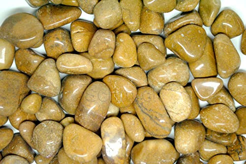 Image of Pebbles for Decoration - Pebbles for Plants Pots - Decorative Stones and Pebbles (1.9 Kgs, Brown Pebbles)