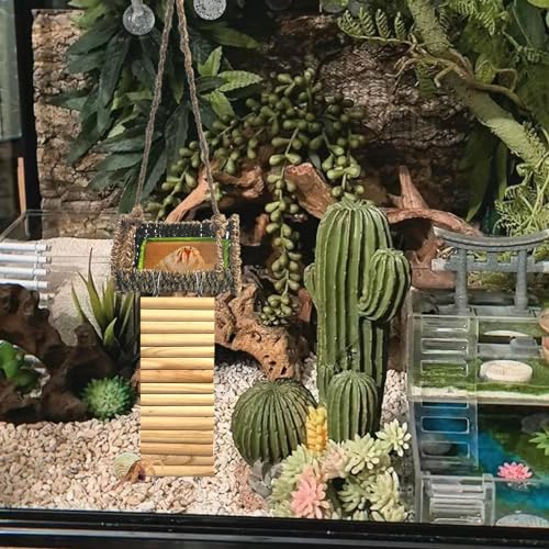 Image of Rainmae Hideout or Climbing Toy for Small Breeds, Wood Pet Activity Structure for Hermit Crab, Hamsters, Rats, Birds, Guinea Pig, Gerbil, Ferret