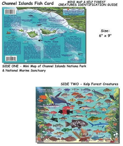 Franko's Laminated California Fish Id Cards 6" X9" All Options, Channel Islands, Catalina, Monterey, Many More, Authorized Dealer, Scuba Dive Fish, Fish Identification, Fish Id Card, Fish Cards , Channel Islands #TOP3