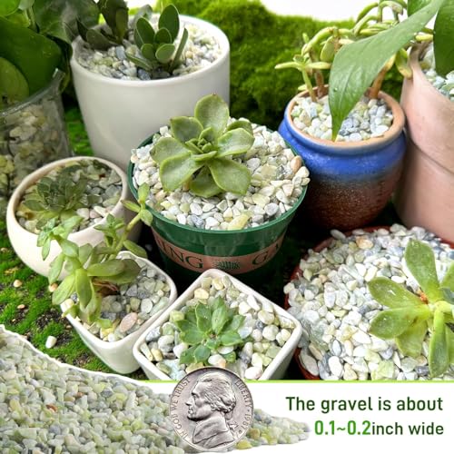 Image of 45lb Jade Bean Stone,1 /4 Inch Bonsai DIY Rocks, Natural Succulent Rock and River Rocks Decorative for Aquariums, Vases, Terrarium, Outdoor Gardening, Top Dressing for Potted Plants