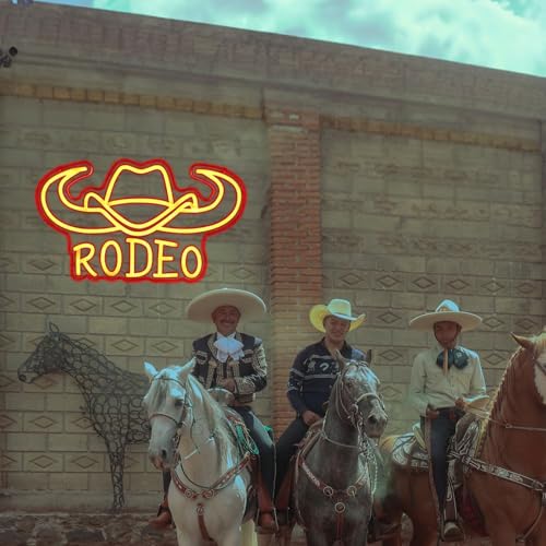 Image of Pinlangdou Rodeo Cowboy Neon Signs Western Cowboy Neon Light for Bedroom, Man Cave, Bar, Game Room, West Wall Decor Best Gift for Kids Friends Loved Ones 16 * 9.3
