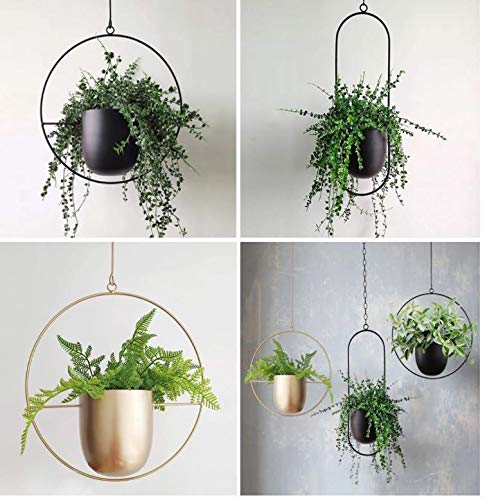 Cratone hangende plantenhanger, metaal, zwarte bloempot, plafond, hangende pot voor kamerplanten, vetplanten… - Image 7