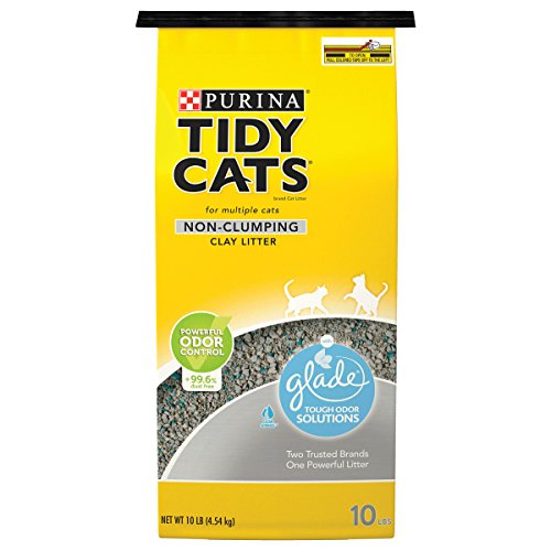 Top 10 Best Non Smelling Kitty Litter Reviews & Buying Guide Katynel
