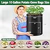 REMIAWY Potato Grow Bags, 10 Gallon 6 Pack Potato Bags for Growing Potatoes with Flap Harvest Window and Handle, Potato Planter Thickened Nonwoven Fabric Pots for Tomatoes Carrots Vegetables Fruits #2