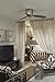 Fanimation FPS7981BN Embrace Ceiling Fan with Light Kit and Remote, 44-inch, Brushed Nickel