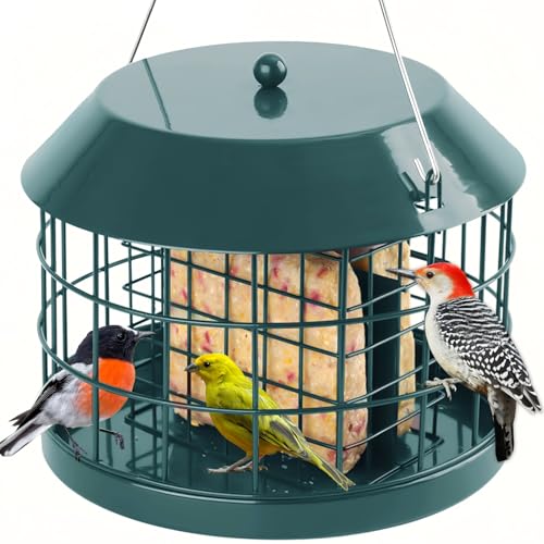 Gbekery Caged Suet Bird Feeder for Outdoors Hanging Squirrel Proof Double Suet Feeder for Small Birds Metal Cage with Detachable Hook Large Space Outdoors Weatherproof Green