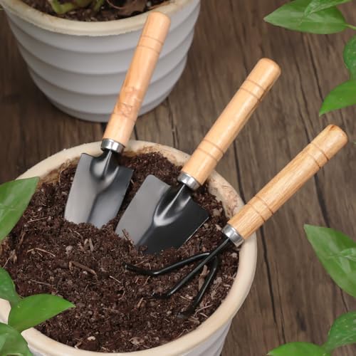 Mini ferramentas de jardim, kit de ferramentas manuais de jardinagem para cuidar de suculentas, plantas domésticas, incluindo pá pequena, espátula, ancinho