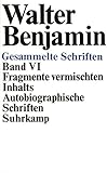  Gesammelte Schriften: VI: Fragmente vermischten Inhalts. Autobiographische Schriften