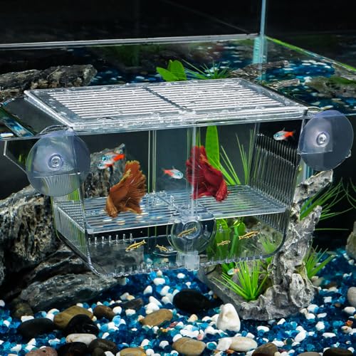 Pawfly Aquarium Boîte d'élevage de Poissons Incubateur de Poissons avec 6 ventouses Acrylique pour bébé Poisson Crevettes Betta Boîte d’Isolation de...