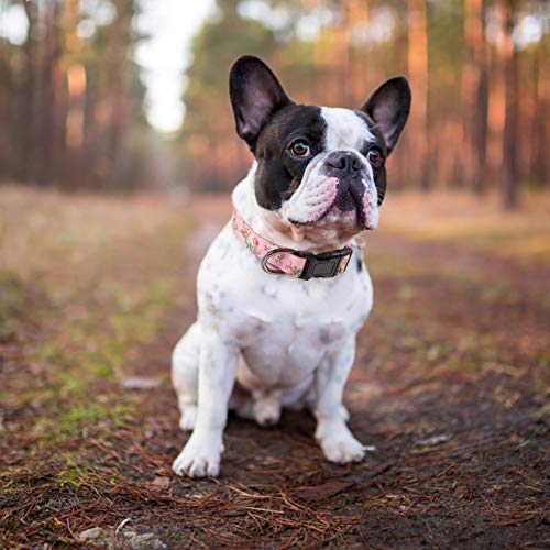 HEELE Hundehalsband, Hunde Halsband für Welpen Kleine Mittlere Große Hunde, Gemustertes Hundehalsbänder Verstellbares, Komfort, Robustem HundeHalsband, Rosa, XS
