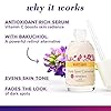 Burts-Bees-Renewal-Dark-Spot-Corrector-with-Bakuchiol-Natural-Retinol-Alternative-Raspberry-1-Fl-Oz-Package-May-Vary Burt's Bees Renewal Dark Spot Corrector With Natural Retinol Alternative and Vitamin C, Reduces Appearance of Dark Spots and Uneven Skin Tone, 98.6 Percent Natural Origin Skin Care, 1 fl. oz. Bottle