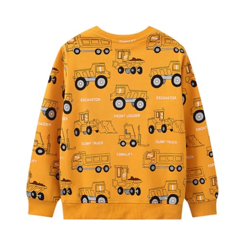 Boys Sweatshirts Casual Sweatshirts Cotton Sweatshirts Long Sleeve T-shirts Crew Neck Cartoon Tops for Boys-1902