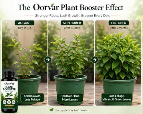 Image of New Age Plant Boost Liquid Fertilizer for Speed Growth (200 ml) | Organic Plant Booster Liquid Fertilizer for Indoor Plants Home Garden & Outdoor Plants - Oorvar