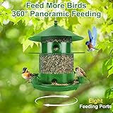 Zoom IMG-1 glovios mangiatoia per uccelli da Zoom IMG-1 glovios mangiatoia per uccelli da