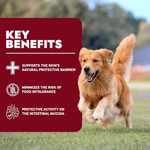 Forza10 Dermo Allergie Hundefutter, Hundefutter für Allergien und Juckreiz, Hundetrockenfutter für Hautallergien, Fischgeschmack Empfindlicher Magen Hundefutter, Empfindlicher Magen Hundefutter
