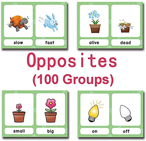 100 Groups English Antonyms Flashcards for Kids|Educational Learning Pocket Word Cards|Perfect for Kindergarten/Teacher/Autism Therapists Tools