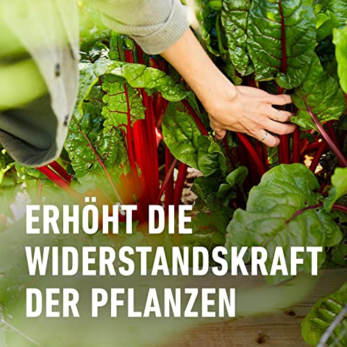 Compo Horn- und Knochenmehl 2,5 kg