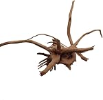 EmoursTM Aquarium Driftwood Tropical Fish Plant Habitat Decor Variantes Tailles (Medium/8-10 De pouce)