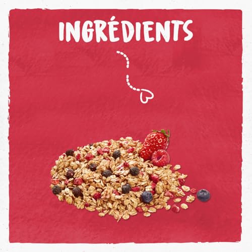 Céréales Bio Granola Fruits Rouges Bjorg Le Paquet De - vue 4