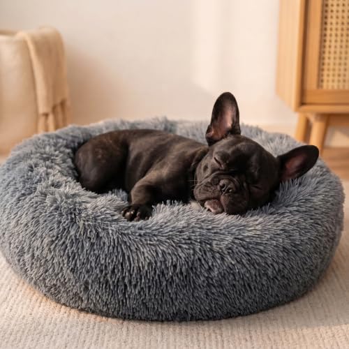 Small Calming Dogs Bed for Small Dogs Anti-Anxiety...