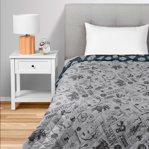 Image of Northwest Dungeons & Dragons Adventure Awaits Twin Quilted Blanket, Comfy Throw, Adults Boys Girls, Soft Lightweight Bedding for Bed, or Couch, 60 x 80 inches