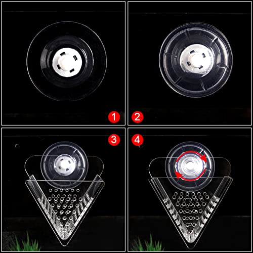 WEAVERBIRD Cone Red Worm Feeder Acrylic V-Shape Shrimp Fish Tank Feeding Cup with Suction Cup - Image 5