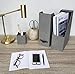 Bigso Box of Sweden Estelle Canvas Fiberboard Upright Magazine Storage Box Organizer for Papers & Catalogs w/Leather Handle | Magazine File Holder for Office Desks | 12.6